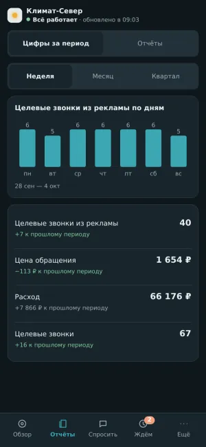Пульт на телефоне: звонки из рекламы по дням и цифры за период